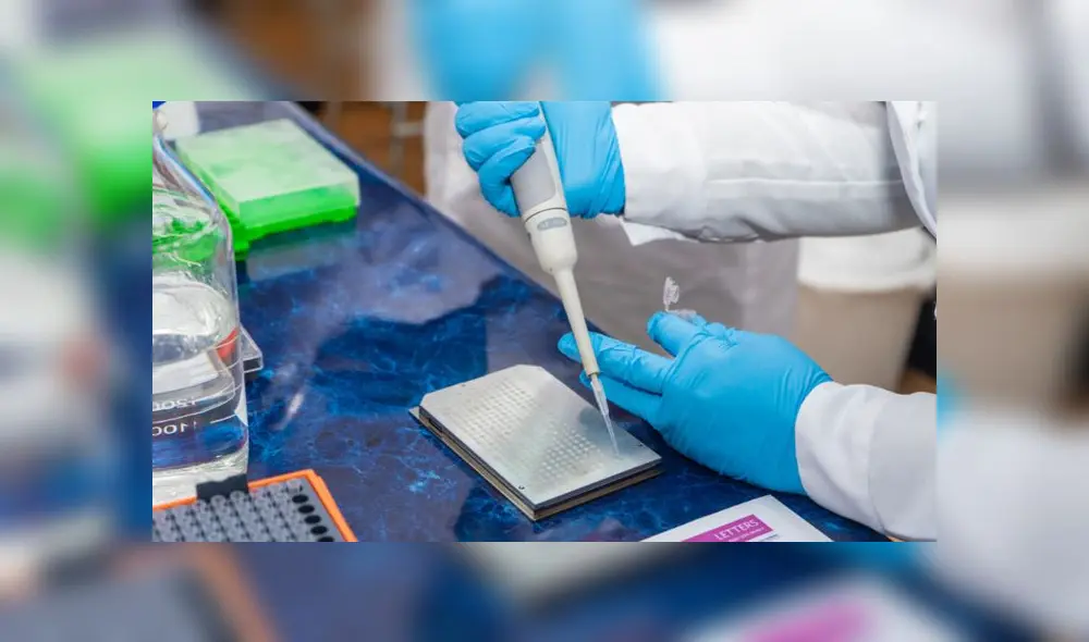 La prueba consiste en un espectrómetro de masas. Foto: Universidad de Talca La prueba consiste en un espectrómetro de masas. Foto: Universidad de Talca