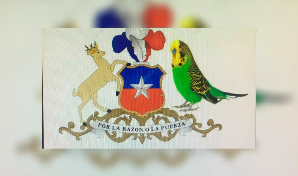 Vía Facebook: divierte con la mejor selección de memes de 'Adiós Chimuelo', el video del momento [FOTOS]