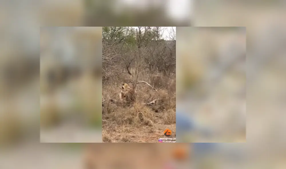 Desliza para ver el desenlace de este video viral de YouTube. Foto: Captura. Desliza para ver el desenlace de este video viral de YouTube. Foto: Captura.