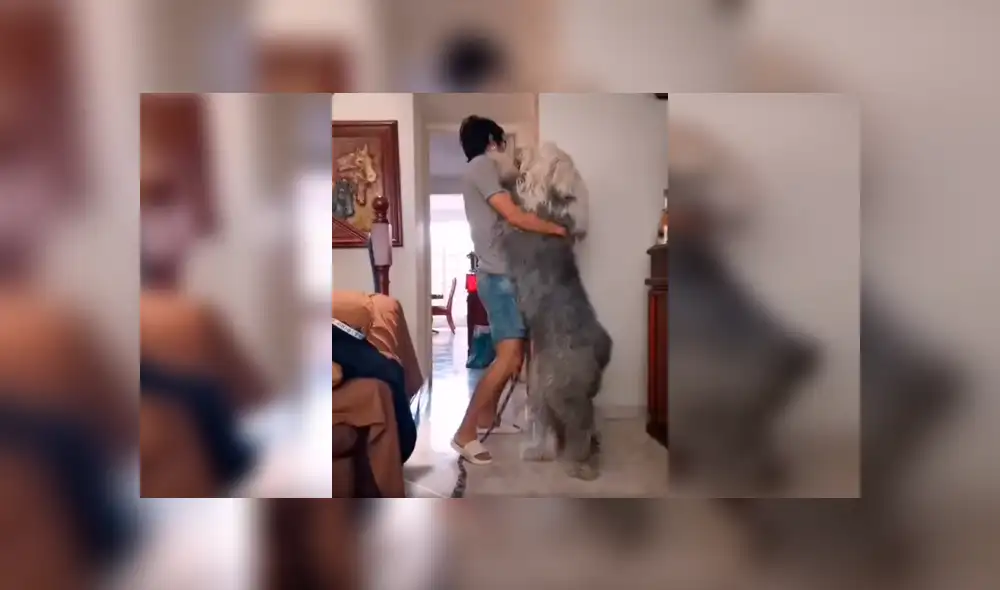 Desliza las imágenes hacia la izquierda para conocer los graciosos movimientos que hizo un joven junto a su perro. Foto: Captura.
