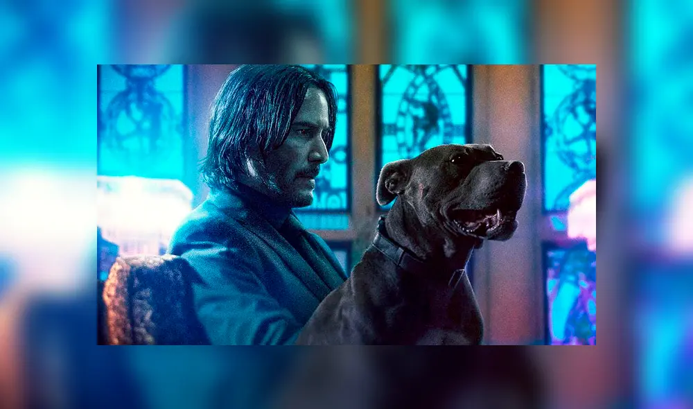 Facebook: joven promete cuidar mascotas como ‘John Wick’ y su afiche se vuelve viral [FOTOS]