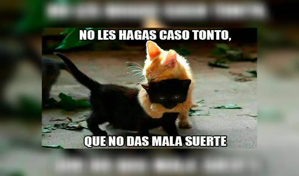 Ríe con los mejores memes para disimular el terror al Martes 13 [FOTOS]