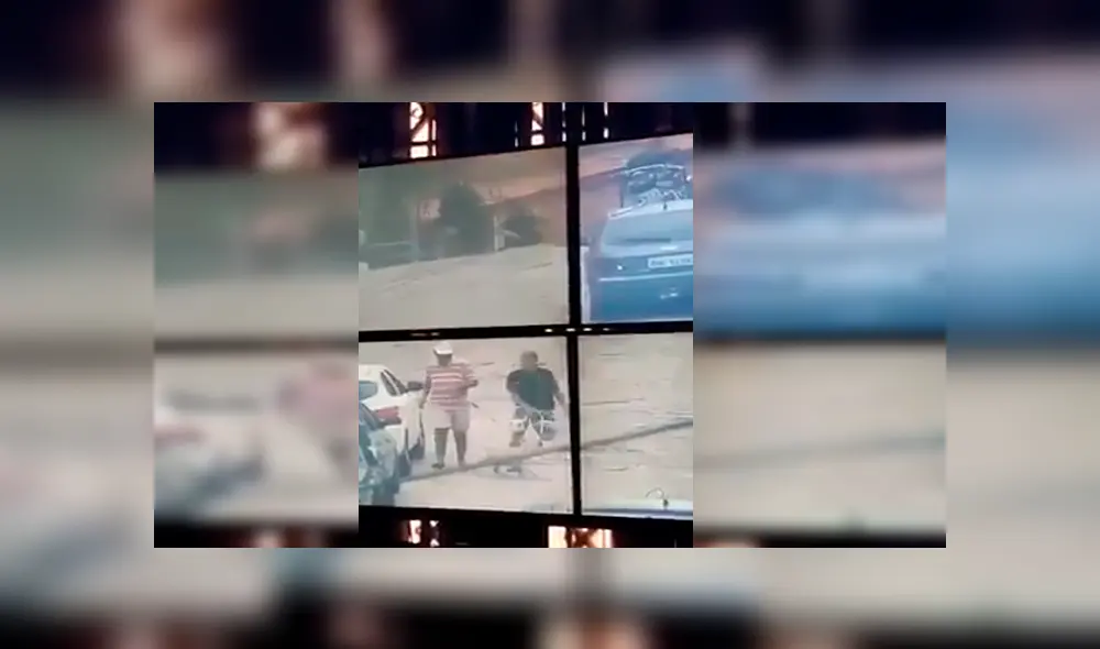 Facebook viral: Cámaras captan a perro que detuvo a ladrón que intentaba escapar de policía 