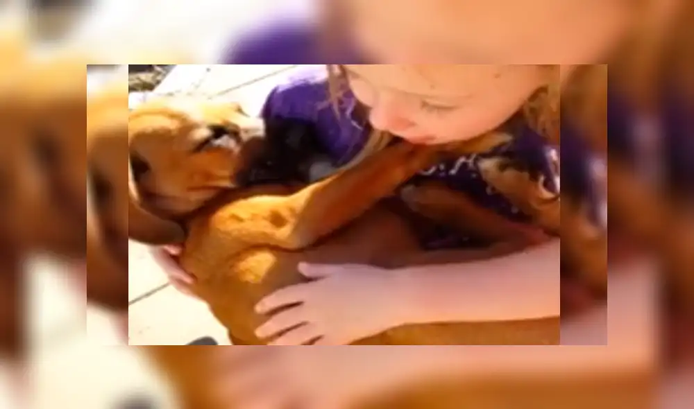 Facebook: Niña entona canción de cuna a su cachorro adoptado se vuelve viral [VIDEO]