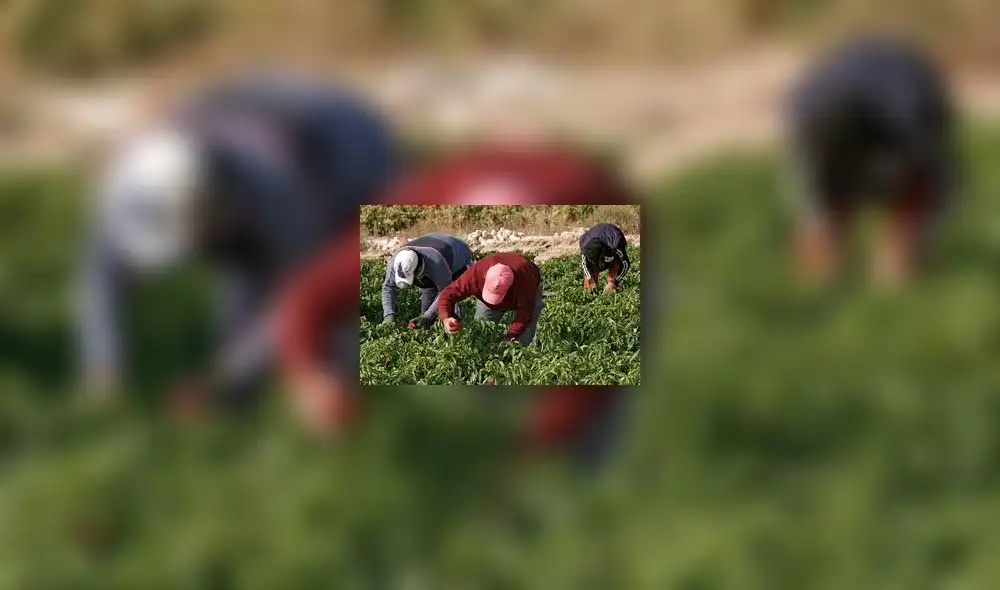 Gobierno señala que atenderán pedidos de agricultores