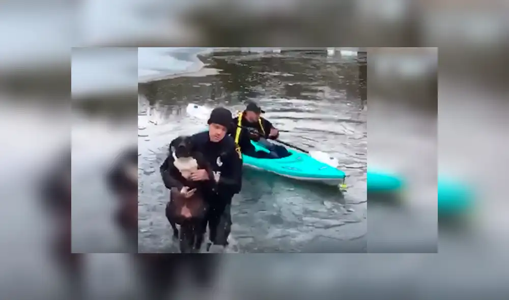 Desliza las imágenes para observar el rescate que realizó un policía tras ingresar a aguas congeladas para salvar a un perro.
