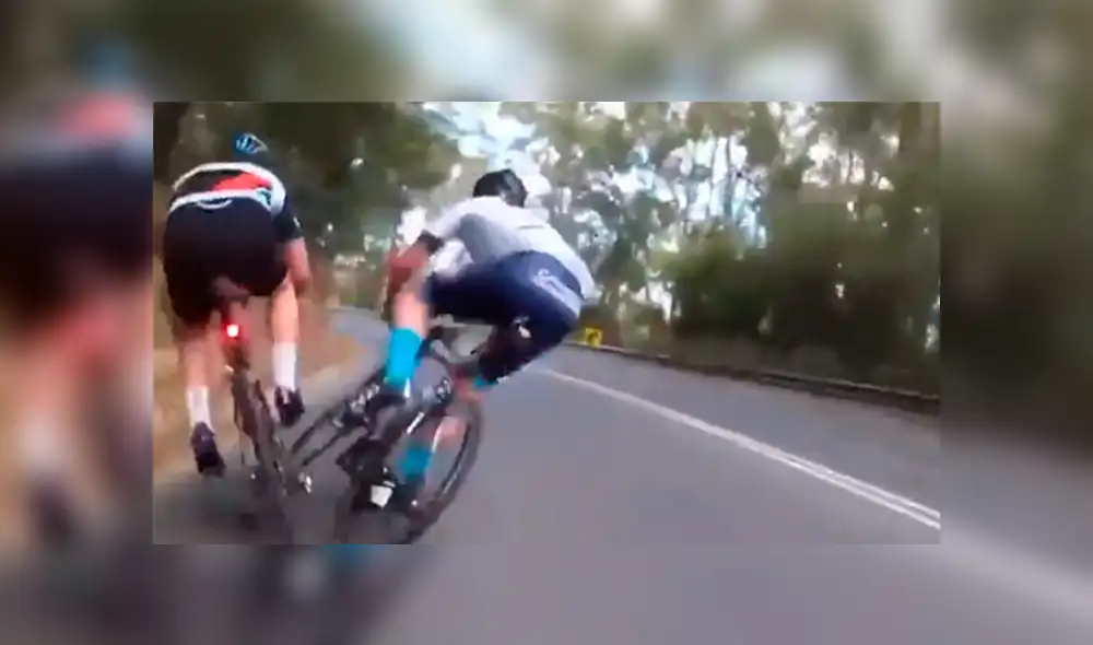 Ciclistas se accidentan al atropellar a curioso animal [VIDEO]