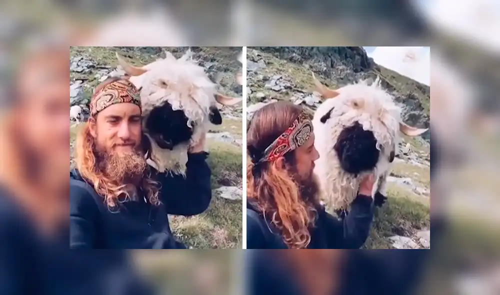 En YouTube, un joven daba un paseo por los campos de Suiza y encontró un enorme animal peludo. En YouTube, un joven daba un paseo por los campos de Suiza y encontró un enorme animal peludo.