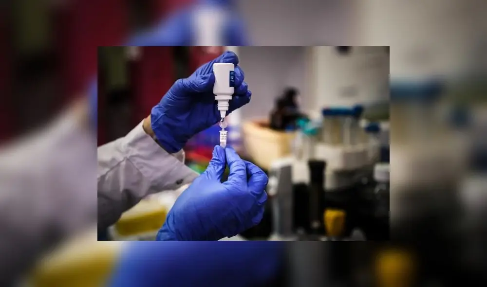 Actualmente, hay unas 10 vacunas que se están probando en humanos. Foto: EFE