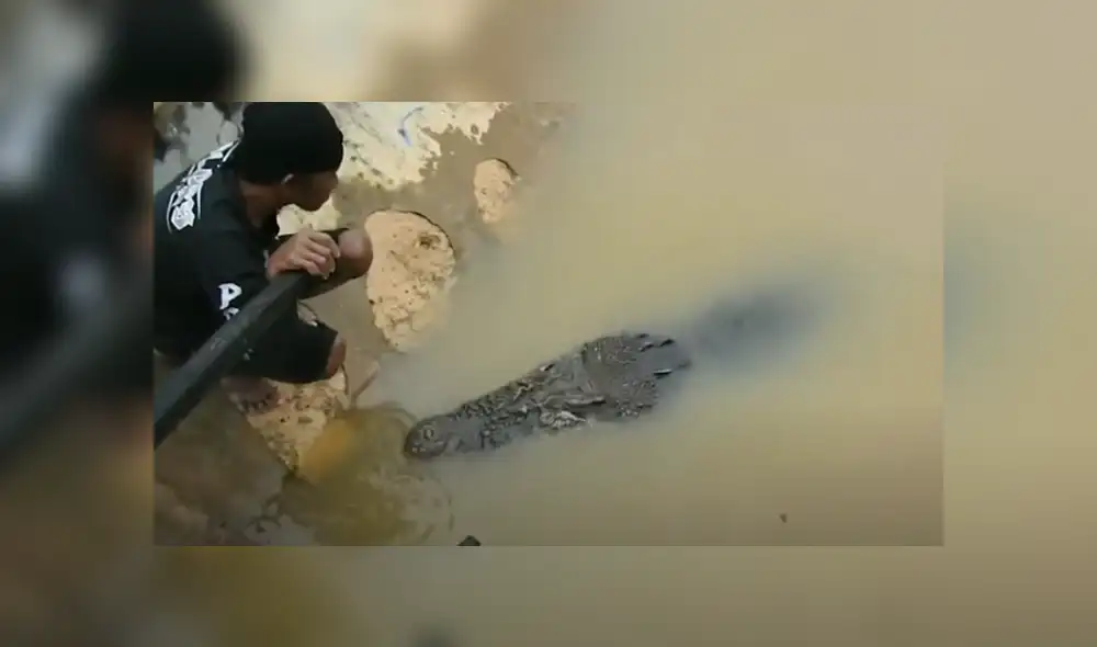 Desliza hacia la izquierda para ver el encuentro de un hombre con un cocodrilo. Viral en Facebook. Foto: ViralPress