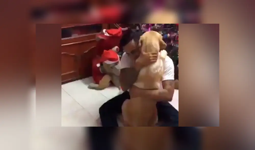 Desliza hacia la izquierda para ver más del video viral Desliza hacia la izquierda para ver más del video viral