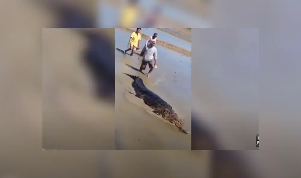 Desliza hacia la izquierda para ver las imágenes del viral de Facebook. Foto: Captura. Desliza hacia la izquierda para ver las imágenes del viral de Facebook. Foto: Captura.