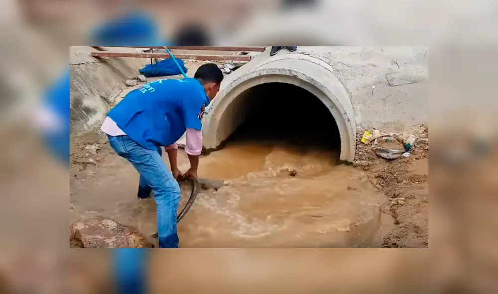 Hombre se mete a tubería y tropieza con hambrienta cobra que agarra con las manos [VIDEO]