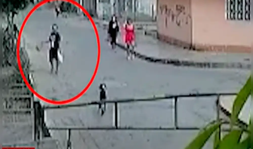El can, que responde al nombre de "Zeus", deberá ser operado tras la brutal agresión. VIDEO: Panamericana