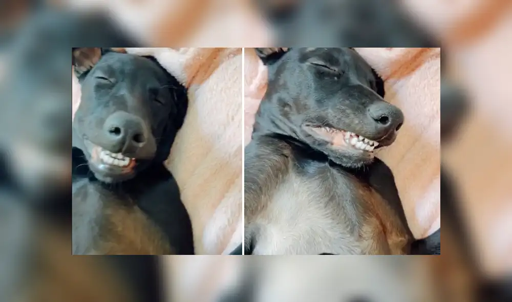 Desliza hacia la izquierda para ver las imágenes del viral de YouTube. Foto: Captura. Desliza hacia la izquierda para ver las imágenes del viral de YouTube. Foto: Captura.