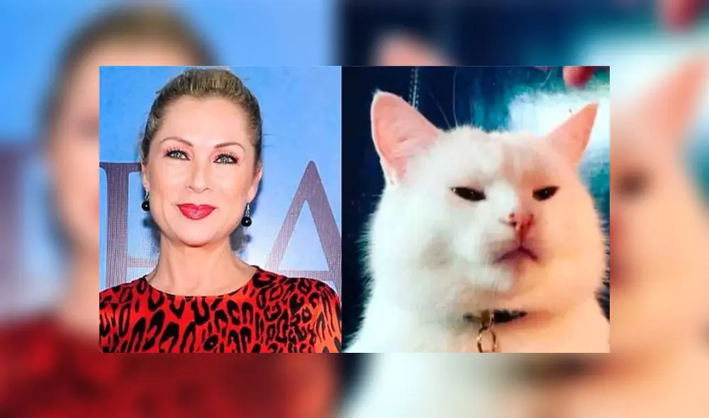 La mexicana Leticia Calderón abandonó el set de la telenovela “Imperio de Mentiras” por culpa de un gato que apareció en el jardín donde se realizan las grabaciones.