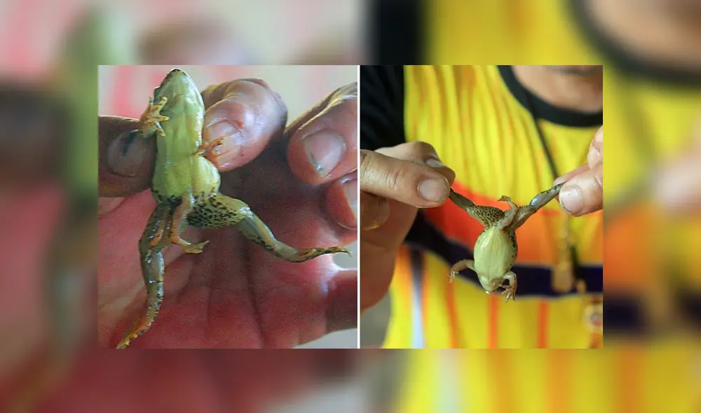 Desliza para ver los detalles del video viral publicado en YouTube. Foto: Captura. Desliza para ver los detalles del video viral publicado en YouTube. Foto: Captura.