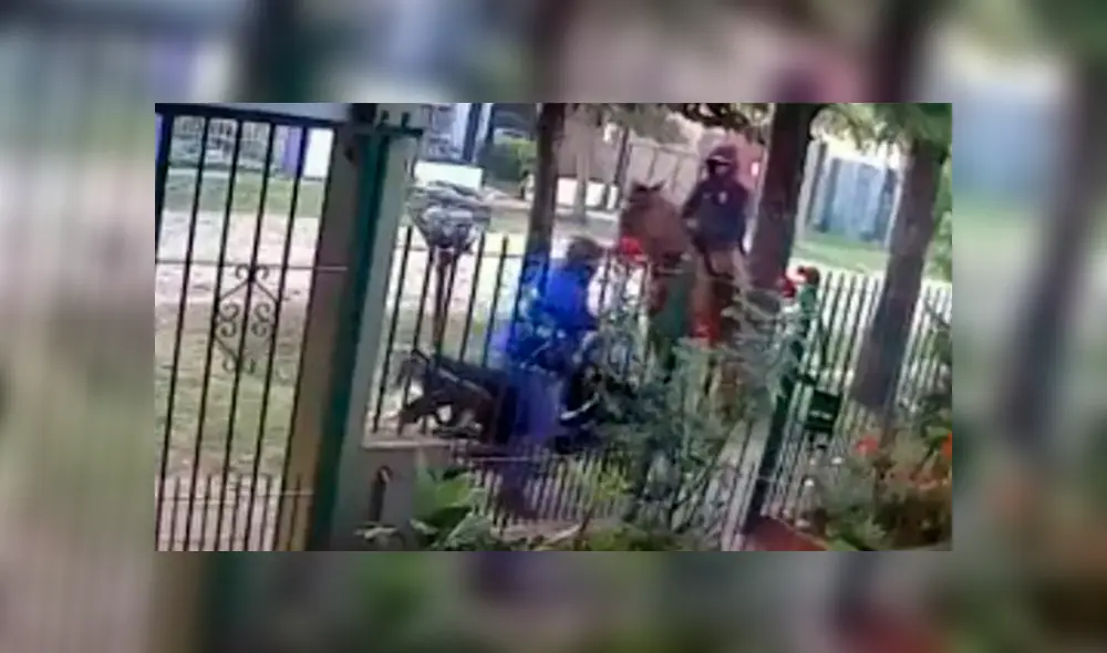 El delincuente utilizó un caballo como medio para perpetrar el asalto. (Foto: captura)