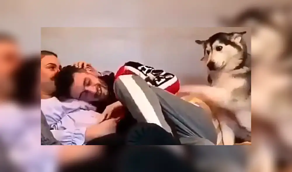 Facebook viral: perro celoso tiene increíble al ver a chico abrazar a su dueña sorprende a usuarios [VIDEO] 