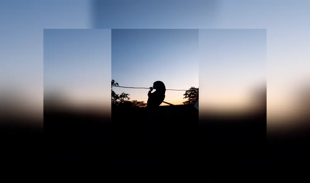 Desliza las imágenes hacia la izquierda para conocer la entretenida actuación de un loro al parodiar al ‘Grinch’. Foto: Captura. Desliza las imágenes hacia la izquierda para conocer la entretenida actuación de un loro al parodiar al ‘Grinch’. Foto: Captura.