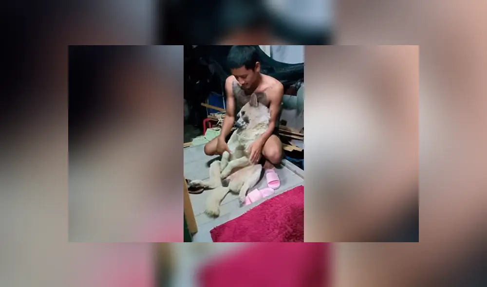 YouTube viral: perrito no quiso que dueño lo bañe y fingió su muerte [VIDEO]