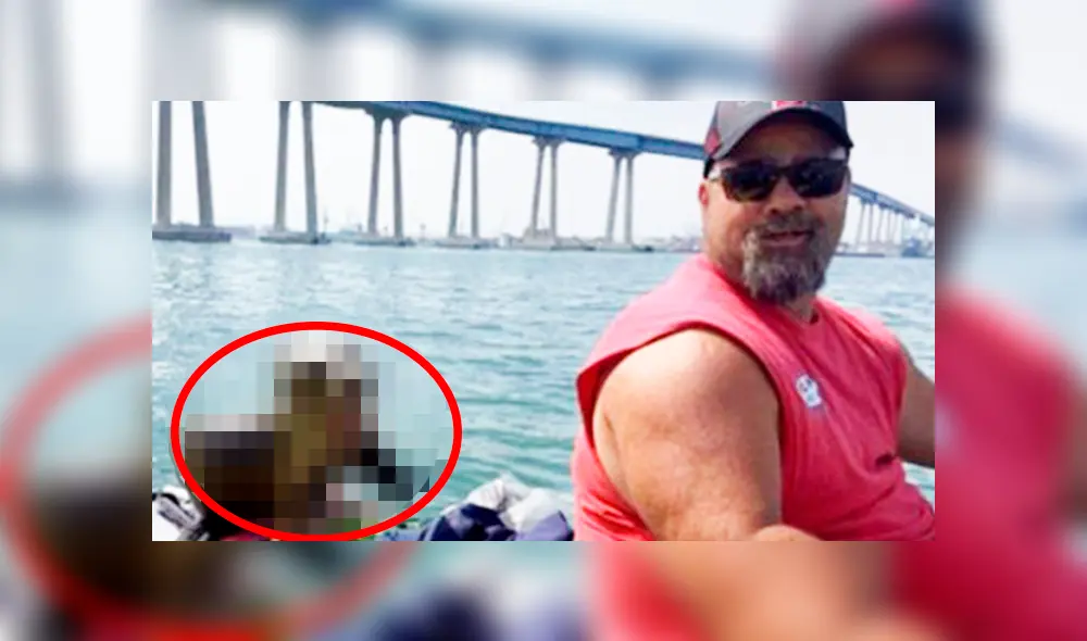 Pescador fue sorprendido por adorable animal marino que no quiso despejarse de él.