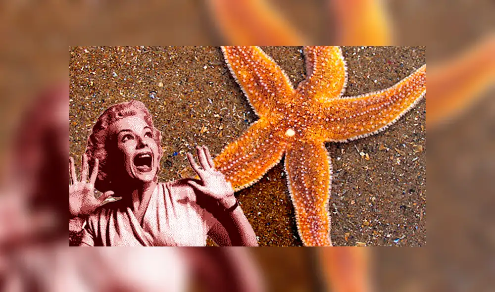 YouTube: Científicos sorprendidos tras hallar estrella de mar mutante con seis brazos [VIDEO]