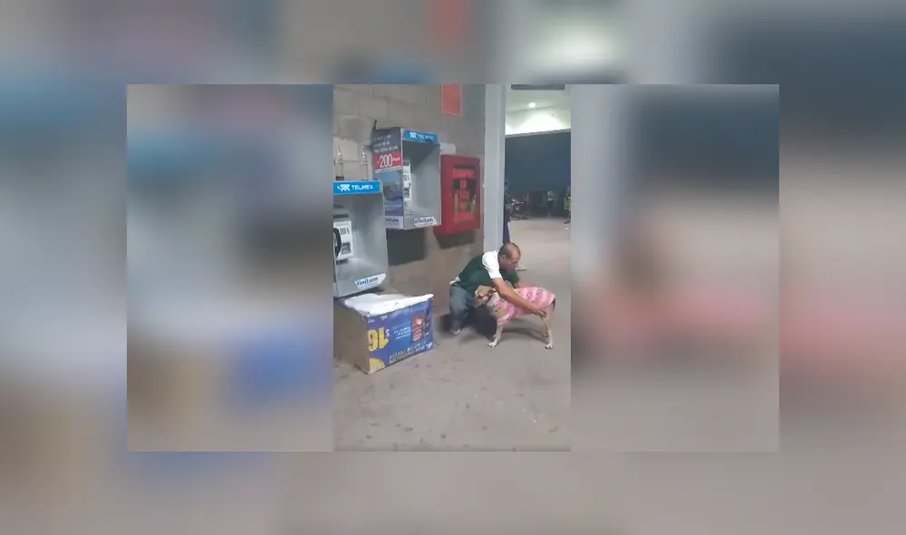 Desliza las imágenes para conocer la tierna acción de un hombre al brindarle abrigo y ropa a un perro callejero. Foto: Juan Echeverria.