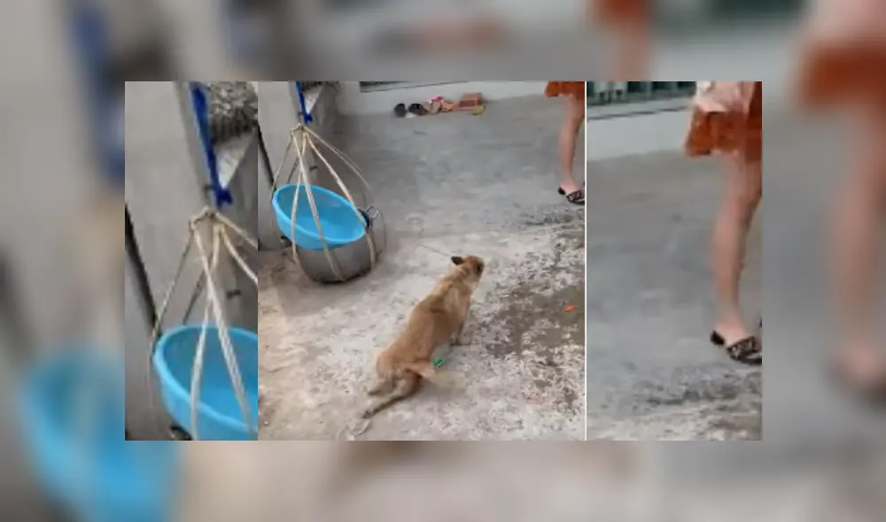 Desliza hacia la izquierda para ver más del video viral. Fotocaptura: YouTube