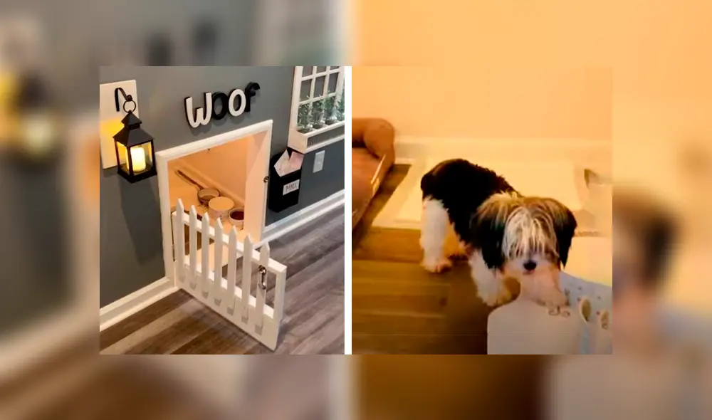 Desliza las imágenes para conocer el impresionante cuarto que armó un joven para sus pequeños perros.