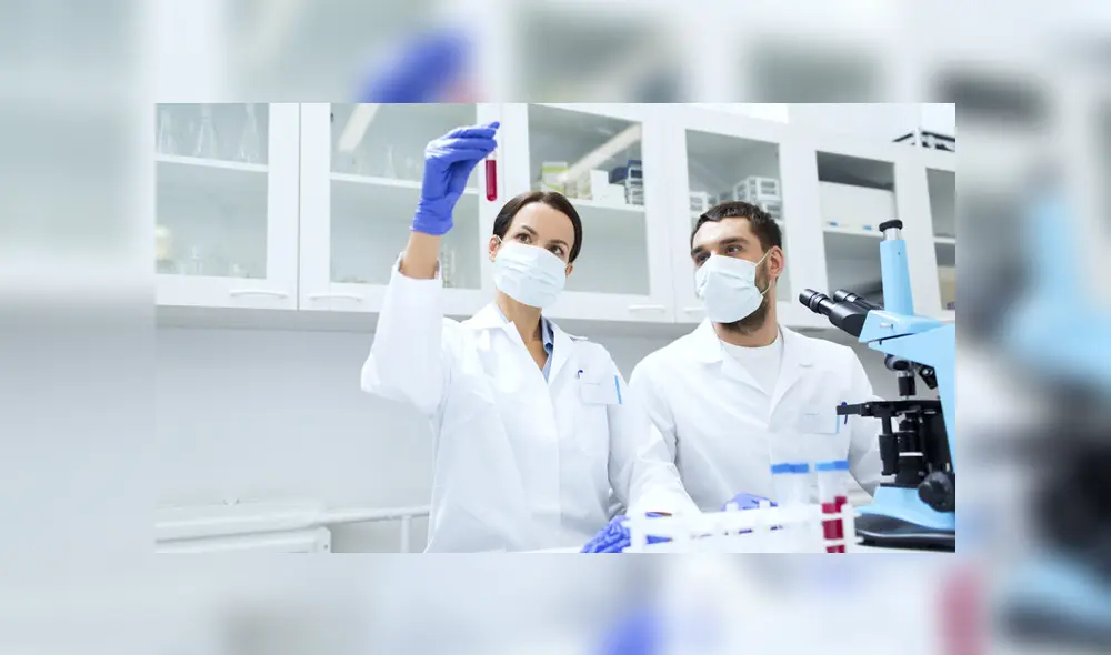 Identifican un gen clave para la fabricación de todas las células sanguíneas. Foto: indunidas. Identifican un gen clave para la fabricación de todas las células sanguíneas. Foto: indunidas.