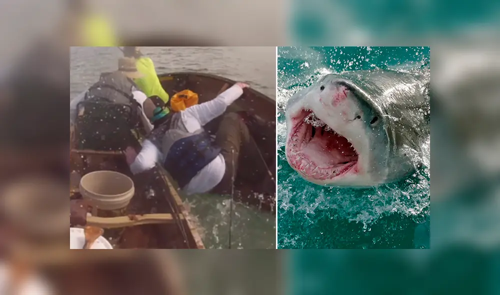 Letal tiburón intenta atacar a pescadores y ocurre lo menos pensado [VIDEO] 