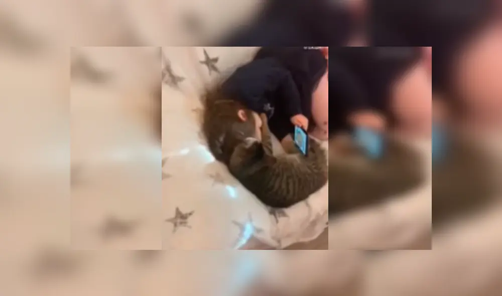Video es viral en Facebook. El felino no soportó que su pequeña dueña lo ignore por revisar su celular y buscó llamar su atención con gracioso comportamiento Video es viral en Facebook. El felino no soportó que su pequeña dueña lo ignore por revisar su celular y buscó llamar su atención con gracioso comportamiento