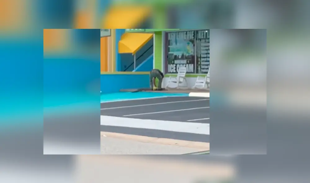 Desliza la imagen compartida en Facebook para ver todas las imágenes. Foto: Rachel Bowman/TikTok Desliza la imagen compartida en Facebook para ver todas las imágenes. Foto: Rachel Bowman/TikTok