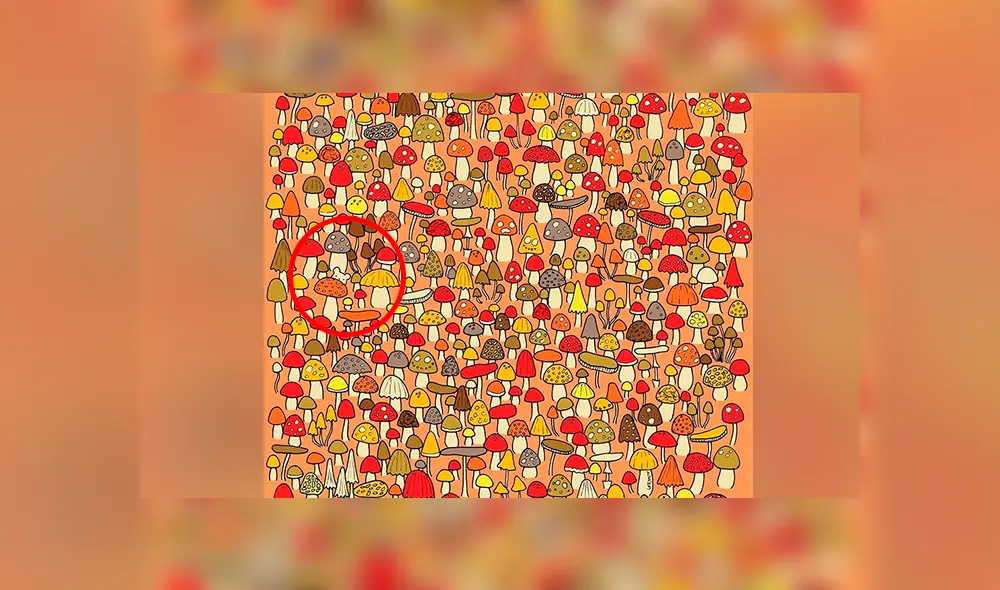 Facebook viral: encuentra al ratón oculto entre hongos, el nuevo reto visual que casi nadie puede superar