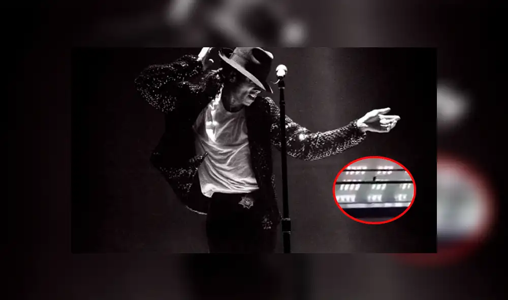 Twitter: captan a paloma haciendo el 'moonwalk' de Michael Jackson [VIDEO]