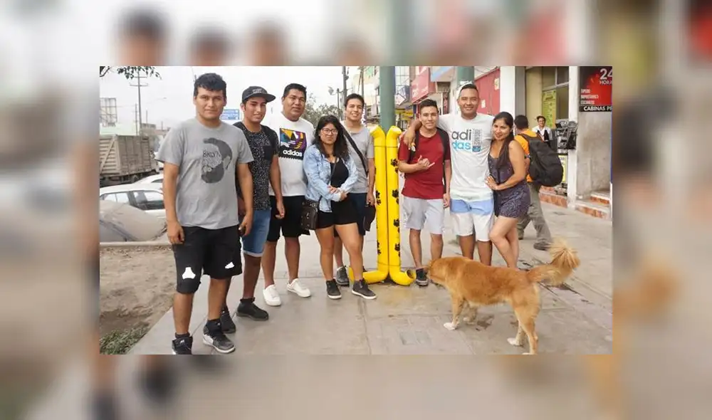 Carabayllo: colocan dispensadores de comida para perros que viven en la calle [FOTOS]