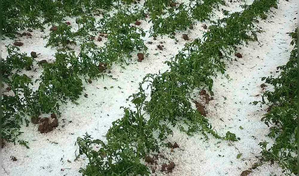 daños. Fuertes lluvias y granizadas afectan viviendas en Puno. daños. Fuertes lluvias y granizadas afectan viviendas en Puno.