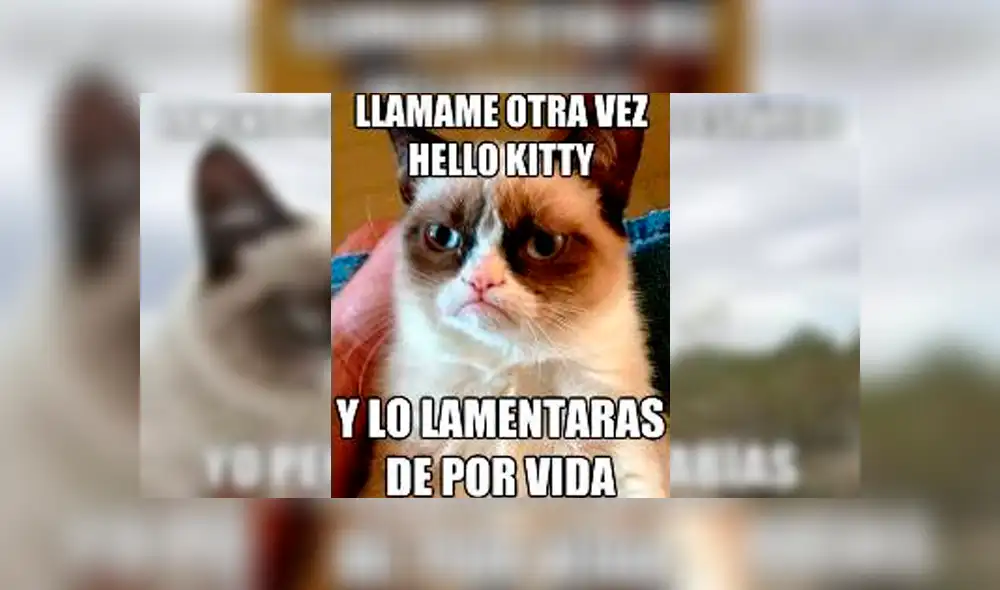 Facebook viral: miles lloran a Grumpy Cat, la gata más famosa del Internet, que acaba de morir [FOTOS]