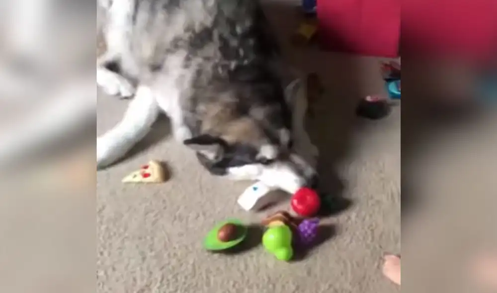 Desliza las imágenes para ver más detalles sobre esta divertida escena entre una niña y su travieso perro. Foto: captura de YouTube