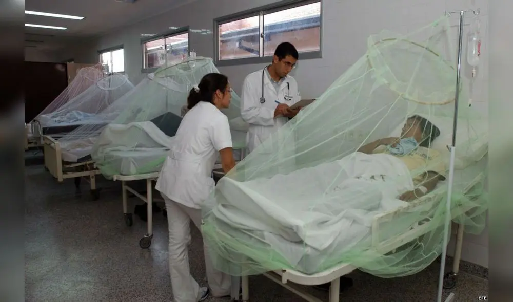 Hay 31 casos de dengue y 10 de chikungunya en Piura