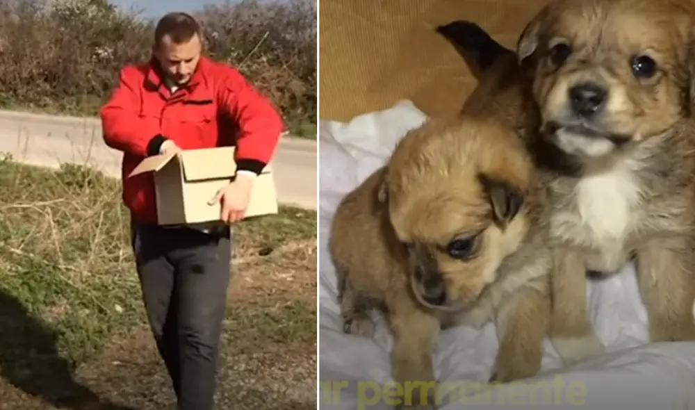 Desliza hacia la izquierda para ver las imágenes de video viral. Foto: Captura de YouTube. Desliza hacia la izquierda para ver las imágenes de video viral. Foto: Captura de YouTube.