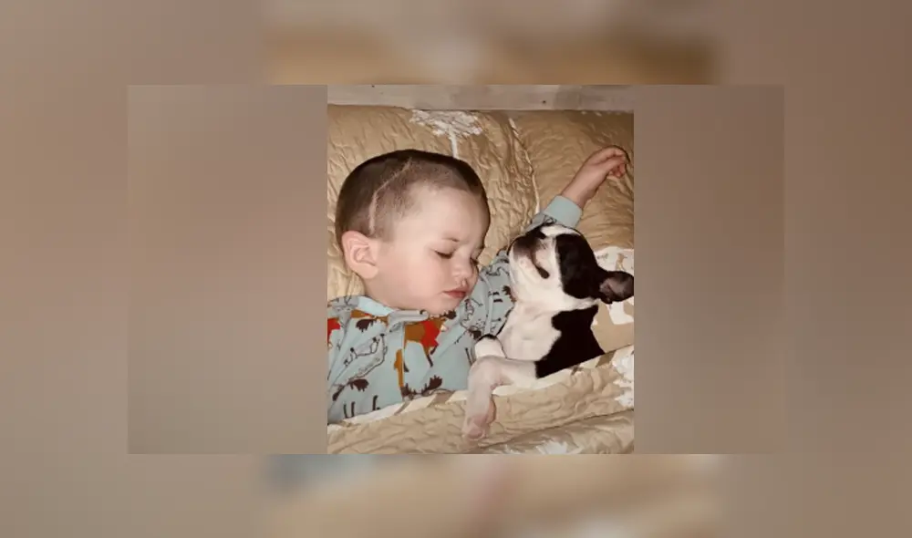 Desliza hacia la izquierda para ver las imágenes del viral de Facebook. Desliza hacia la izquierda para ver las imágenes del viral de Facebook.