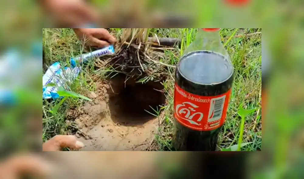 Desliza hacia la izquierda para ver las imágenes de YouTube sobre el hallazgo que hizo un joven tras colocar Coca Cola y mentos en el interior de un hoyo.