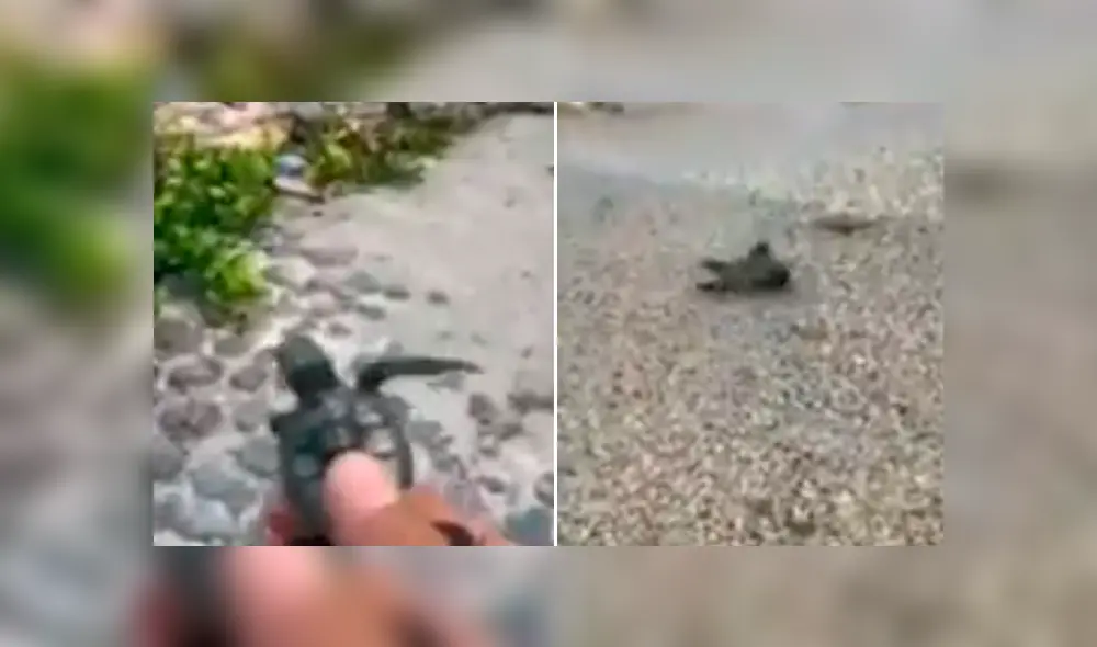 Desliza para ver los momentos más impactantes del triste video compartido en Facebook.