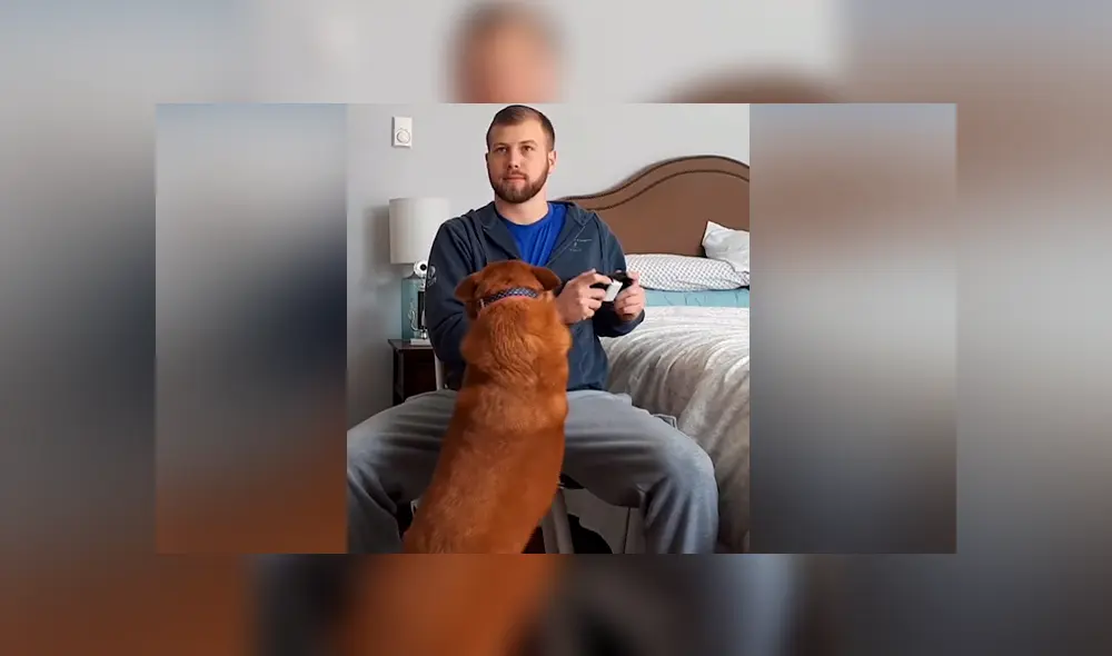 Desliza para ver los momentos más divertidos del video que se hizo viral en Facebook. Desliza para ver los momentos más divertidos del video que se hizo viral en Facebook.