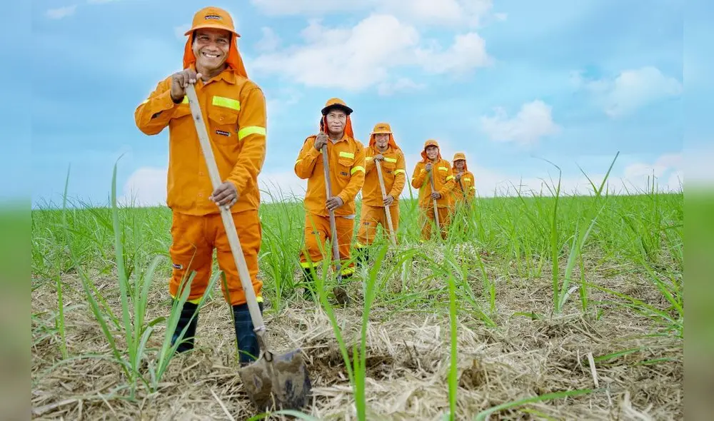 Estas empresas también generaron puestos de trabajo (Foto: difusión) Estas empresas también generaron puestos de trabajo (Foto: difusión)