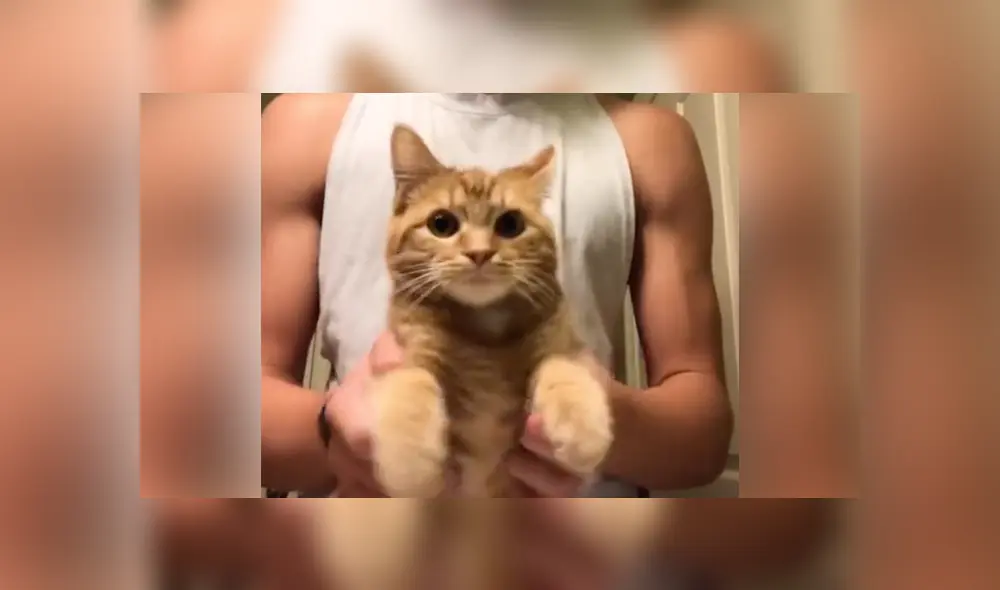 Desliza a la izquierda para conocer más sobre este nuevo video viral de TikTok. Foto: Captura.