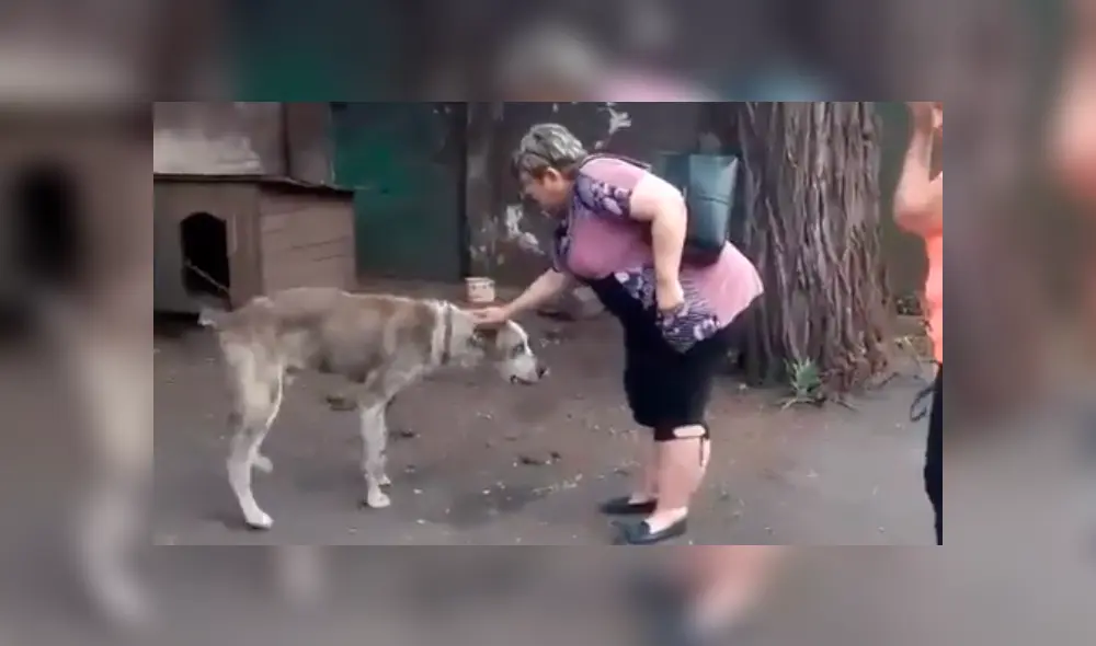 Conmovedor reencuentro de un perro con su dueña hace llorar a usuarios.
