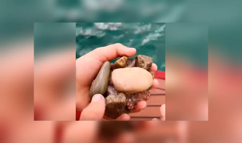 Un pescador se llevó una aterradora sorpresa al encontrarse una misteriosa piedra en una bahía. Un pescador se llevó una aterradora sorpresa al encontrarse una misteriosa piedra en una bahía.